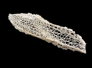 VORONOI-MORPHOLOGIES2_Andrew-Kudless