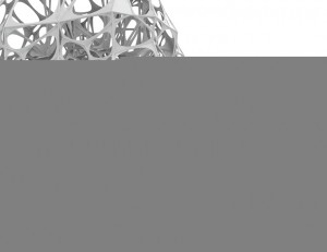 VORONOI-MORPHOLOGIES_Andrew-Kudless