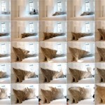 honeycomb-morphologies honeycomb-morphologies