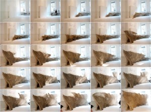 honeycomb-morphologies